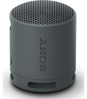Sony SRS-XB100B
