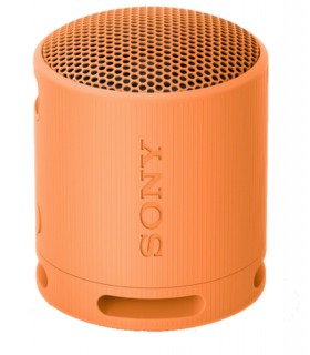 Sony SRS-XB100D